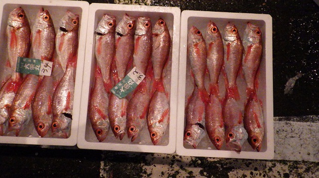 秋の味覚ー底引き網漁解禁