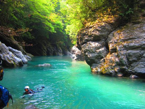 野遊び大好き 四国の川とキャンプ 完 四国の川に遊びにおいでよ