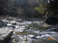 お久しぶりの十津川水系
