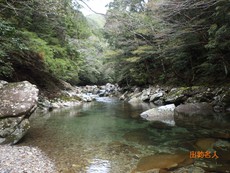 ダメだね・・・