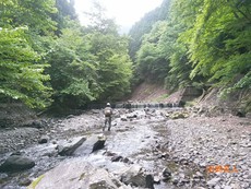 未だ梅雨入りせず