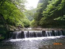 今日も怪しい探検隊