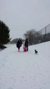 雪アソビ〜 2013/12/23 15:29:33