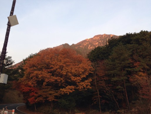 11月下旬 奇岩の中登山道で登る御在所岳