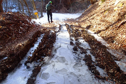 1月 雪の本社ヶ丸と清八山