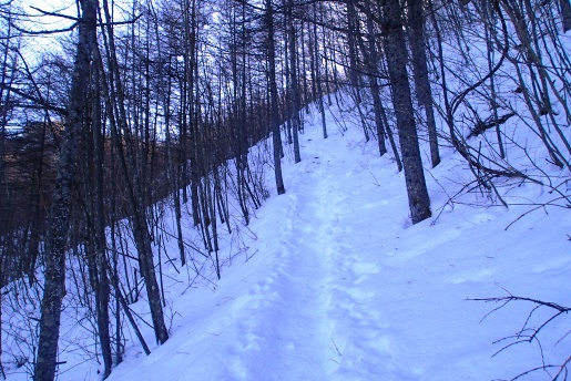 1月 雪の本社ヶ丸と清八山