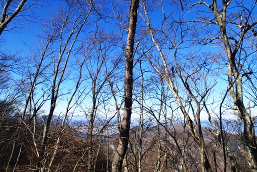 1月 雪の本社ヶ丸と清八山