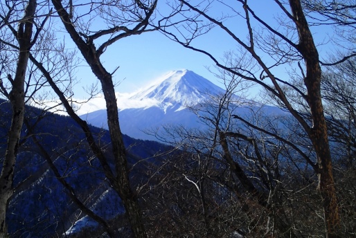 1月 雪の本社ヶ丸と清八山