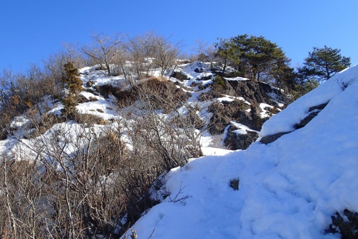 1月 雪の本社ヶ丸と清八山