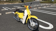カブ主に復帰しました！ 2018/11/07 23:01:54