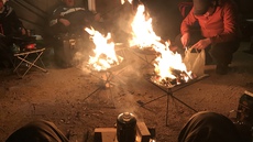 強風の渚園へ行ってきました 2019/02/25 00:04:18