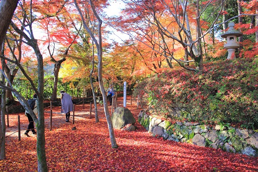 紅葉狩り