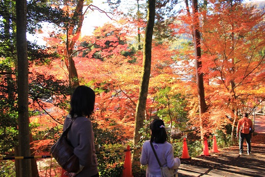 紅葉狩り