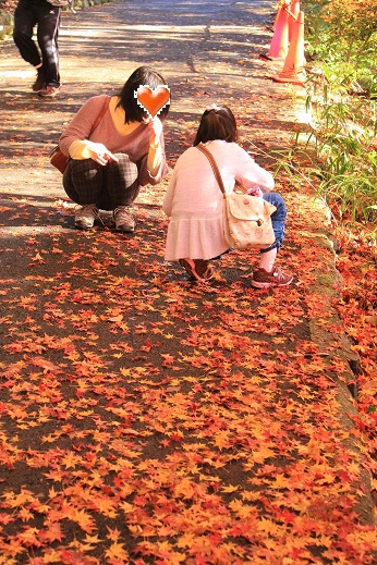 紅葉狩り