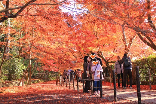 紅葉狩り