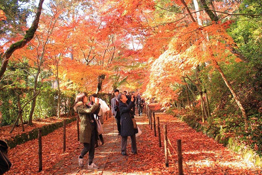 紅葉狩り