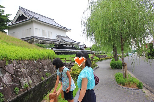 山崎の合戦　～みのむしの自由研究～