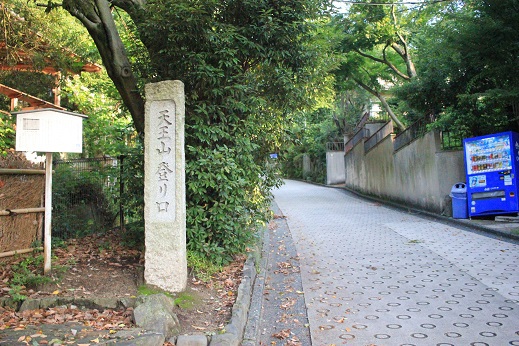 山崎の合戦　～みのむしの自由研究～