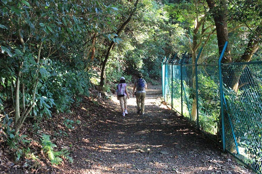 山崎の合戦　～みのむしの自由研究～