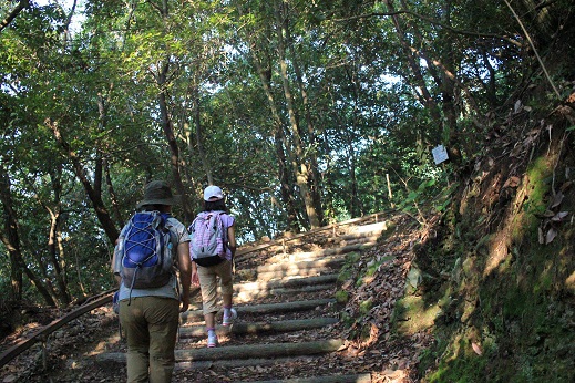 山崎の合戦　～みのむしの自由研究～