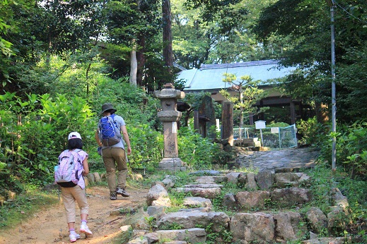 山崎の合戦　～みのむしの自由研究～