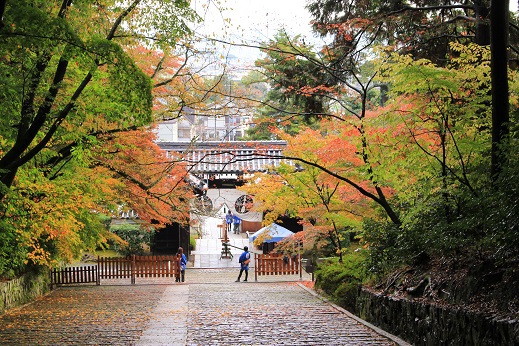 紅葉狩り