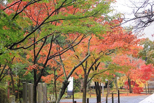 紅葉狩り