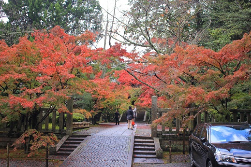紅葉狩り