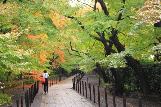 紅葉狩り