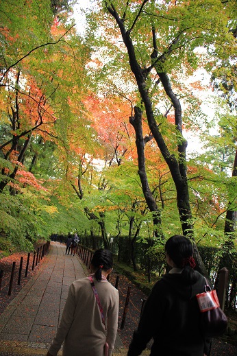 紅葉狩り