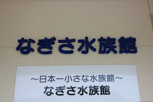 GW遠征キャンプ　片添ヶ浜オートキャンプ場④