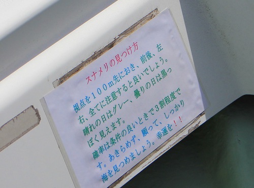 GW遠征キャンプ　片添ヶ浜オートキャンプ場④