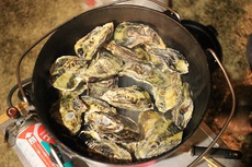 赤穂で牡蠣キャンプ