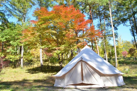 紅葉キャンプ
