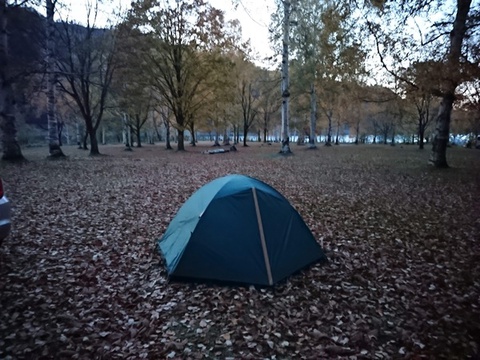 クマ度半端ないって!! 美しき落ち葉の森で完ソロキャンプ!! 岩尾内湖白樺キャンプ場
