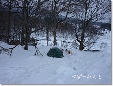 テント合戦到来  雪解け間近な雪上キャンプ エルム高原家族旅行村