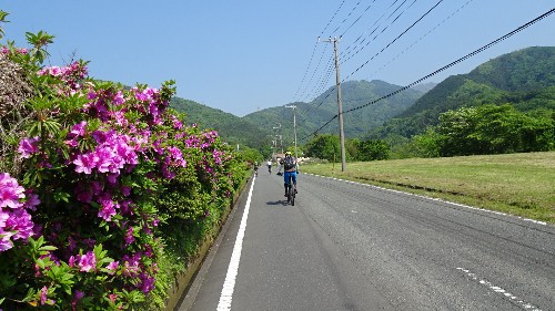 5月12日  秦野辺りの林道をおサイクリング♪