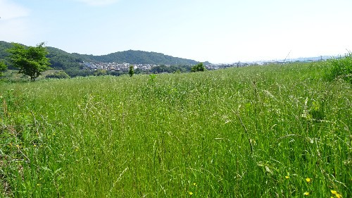 5月26日　秦野ホイールクラブ5月活動日