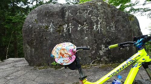 5月12日  秦野辺りの林道をおサイクリング♪