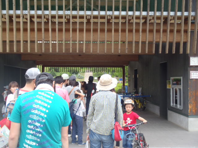 森林公園