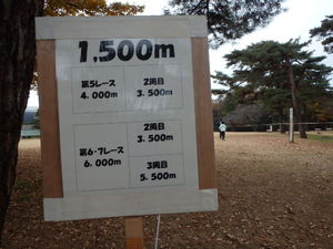 クロスカントリー　　in  SAYAMA　2015