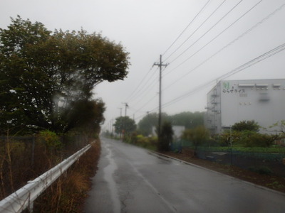 RUNING　の練習は高速道路の側道が　　いいみたい。。
