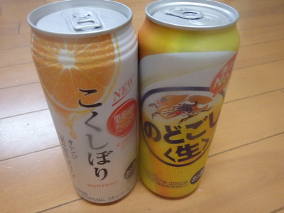RUNING　の練習は高速道路の側道が　　いいみたい。。
