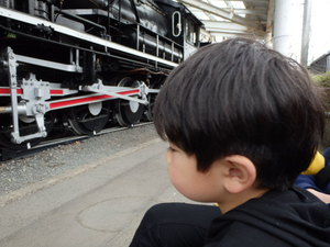 JR   青梅鉄道公園