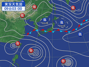 3兄弟　　どこへ行く。。。？？