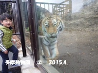 多摩動物園　2015.4.　　　②