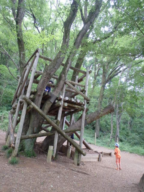 ムーミン谷