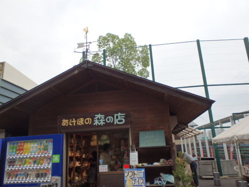 ムーミン谷