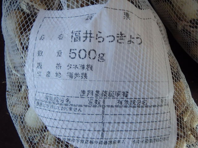 らっきょう買い忘れた。。。｢あ゛～｣　　