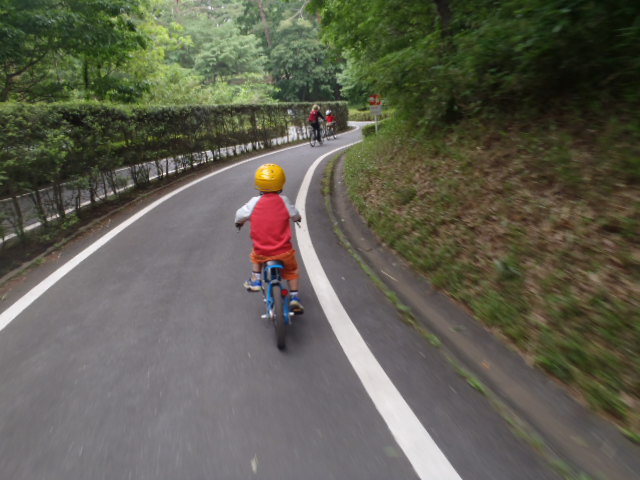 森林公園